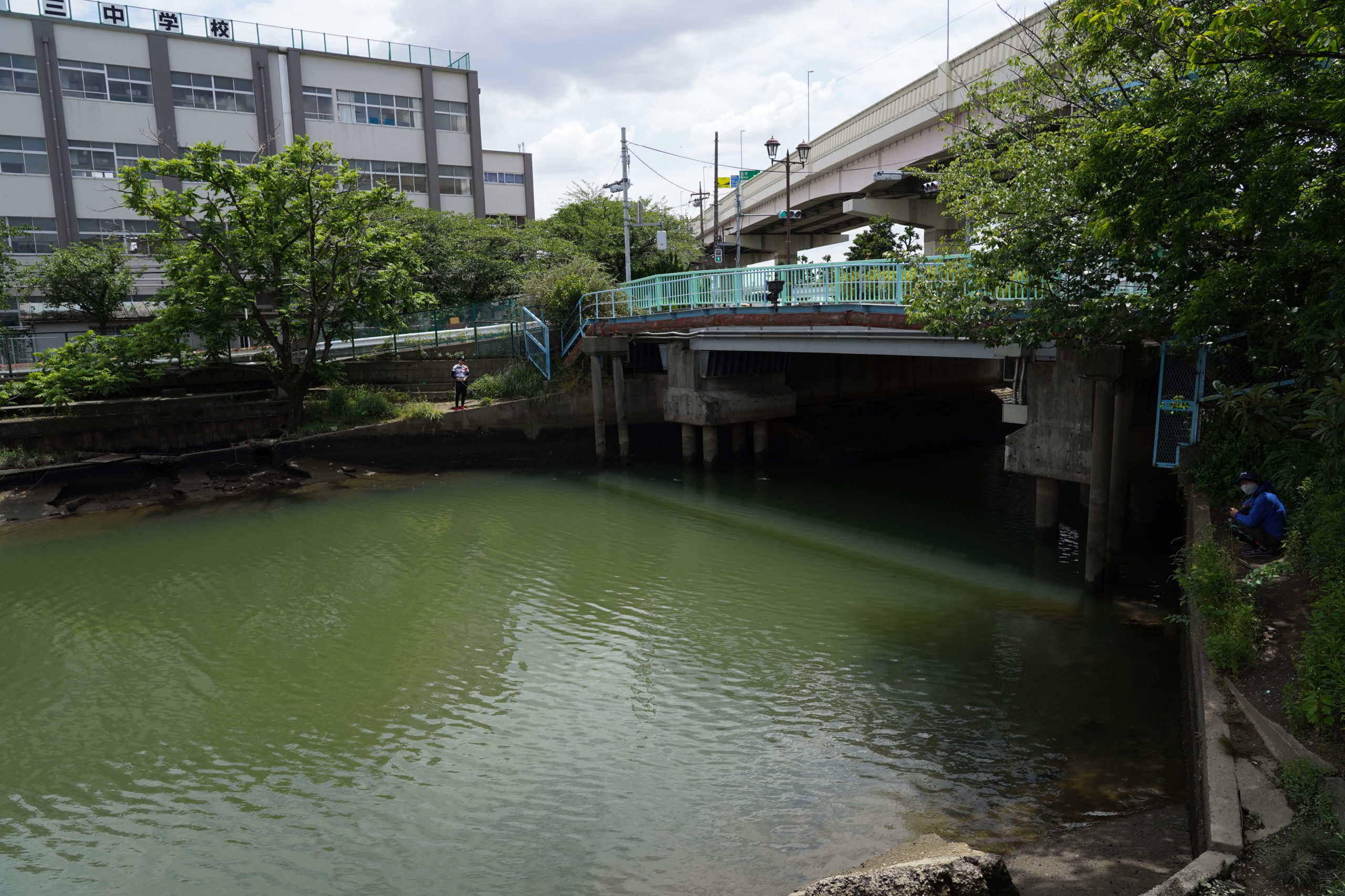 花畑運河ポイント Rsaの釣りバカ日記