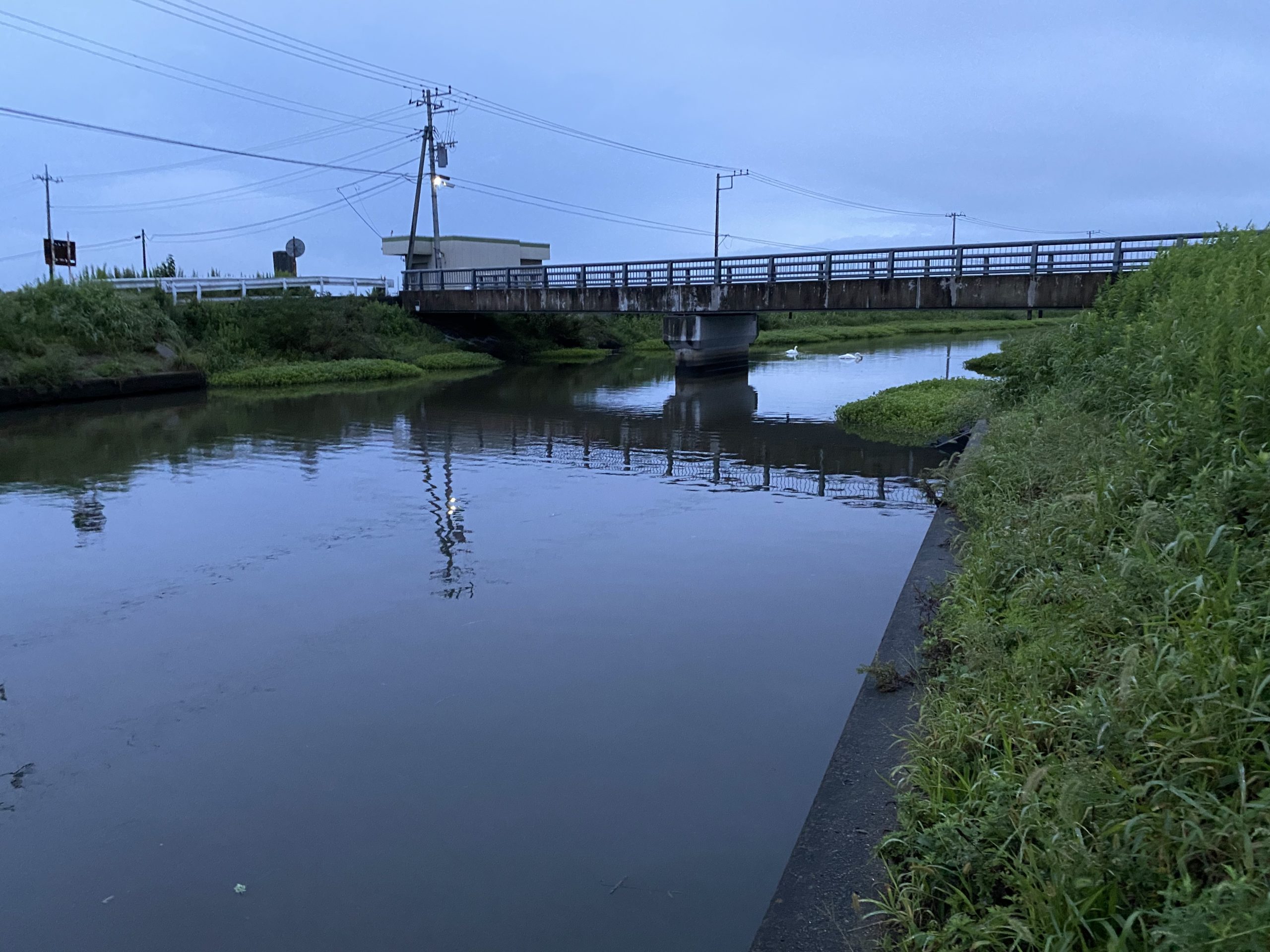 年9月27日 霞水系釣果記録 ボラコンなどで爆釣 新記録達成 Rsaの釣りバカ日記