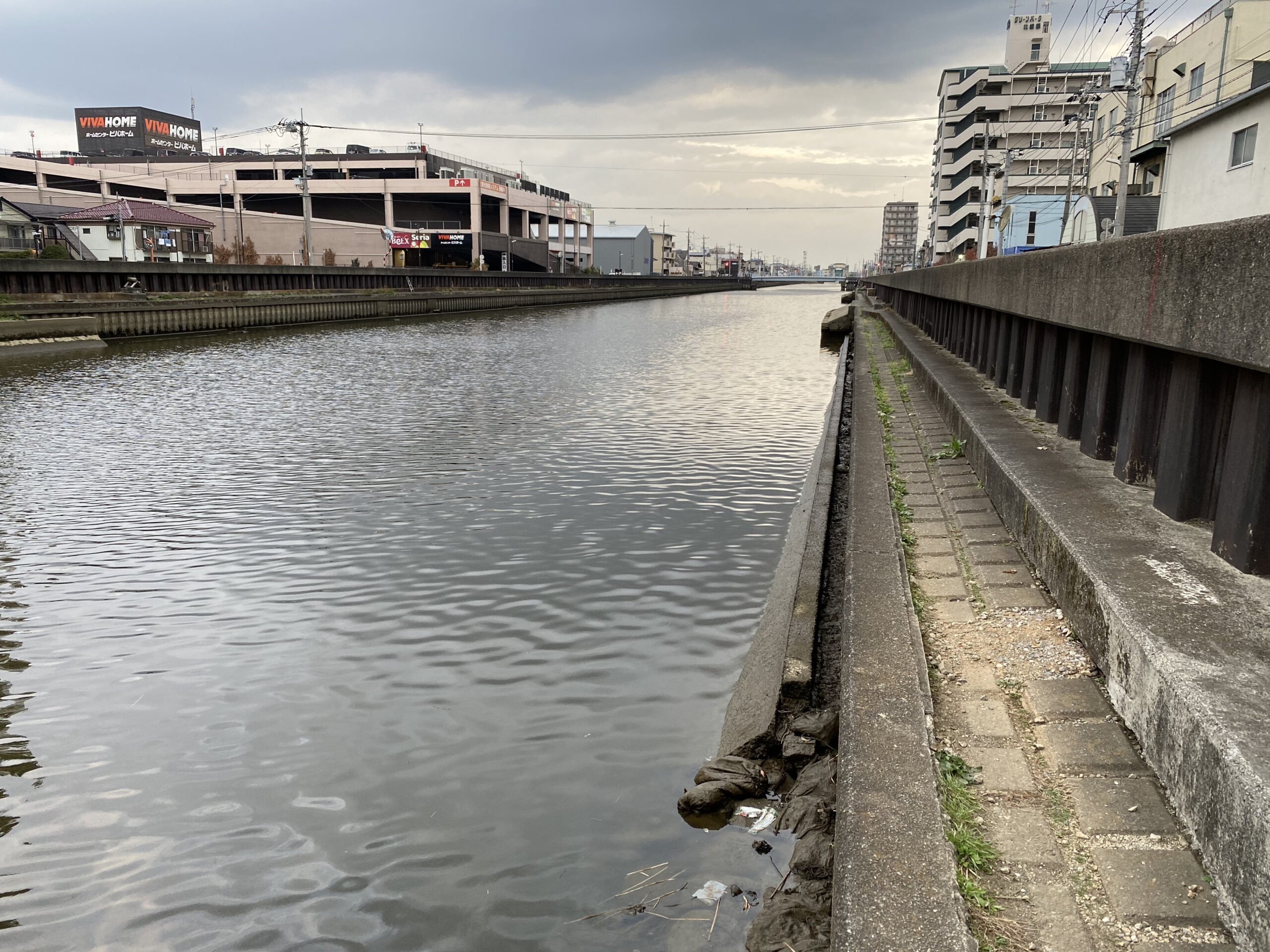 21年3月日 花畑運河釣果記録 ボラコンでちょい釣り Rsaの釣りバカ日記